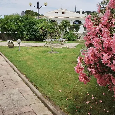 Luisitta Codice Iun Q5908 Porto Columbu - Perd'E Sali