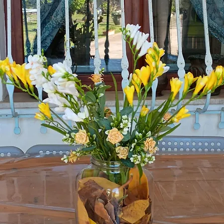 Luisitta Codice Iun Q5908 בית נופש *